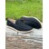 Ανδρικά loafers με τρύπες - μαύρα SU8701 - 1 1