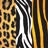 Αποτύπωμα ζώου